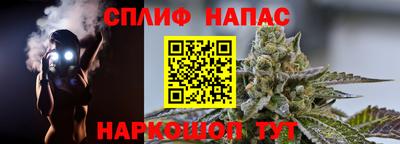 гашик Пугачёв