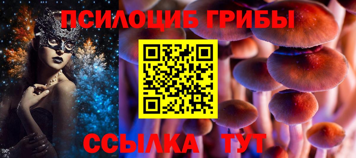 Псилоцибиновые грибы Cubensis  Вход с VPN  Сыктывкар  Галлюциногенные грибы MAGIC MUSHROOMS 